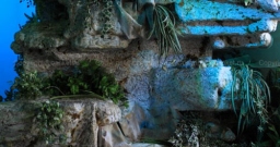 Основной зал — фото 4