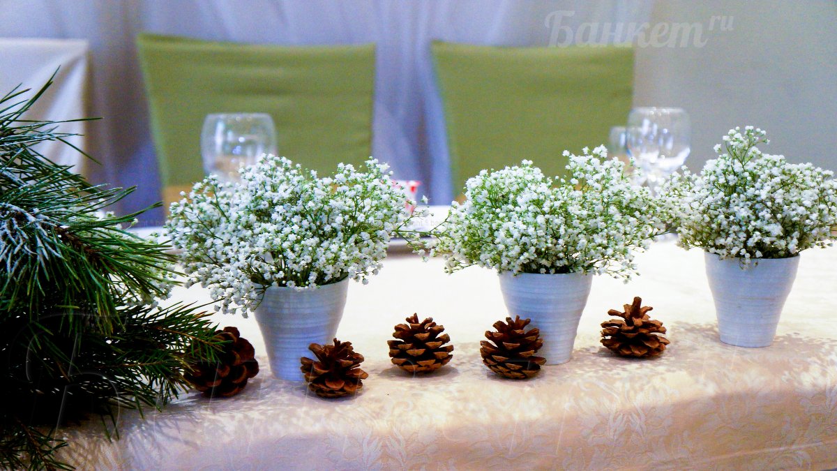 Конференц-зал гостиницы Бега — фото 28