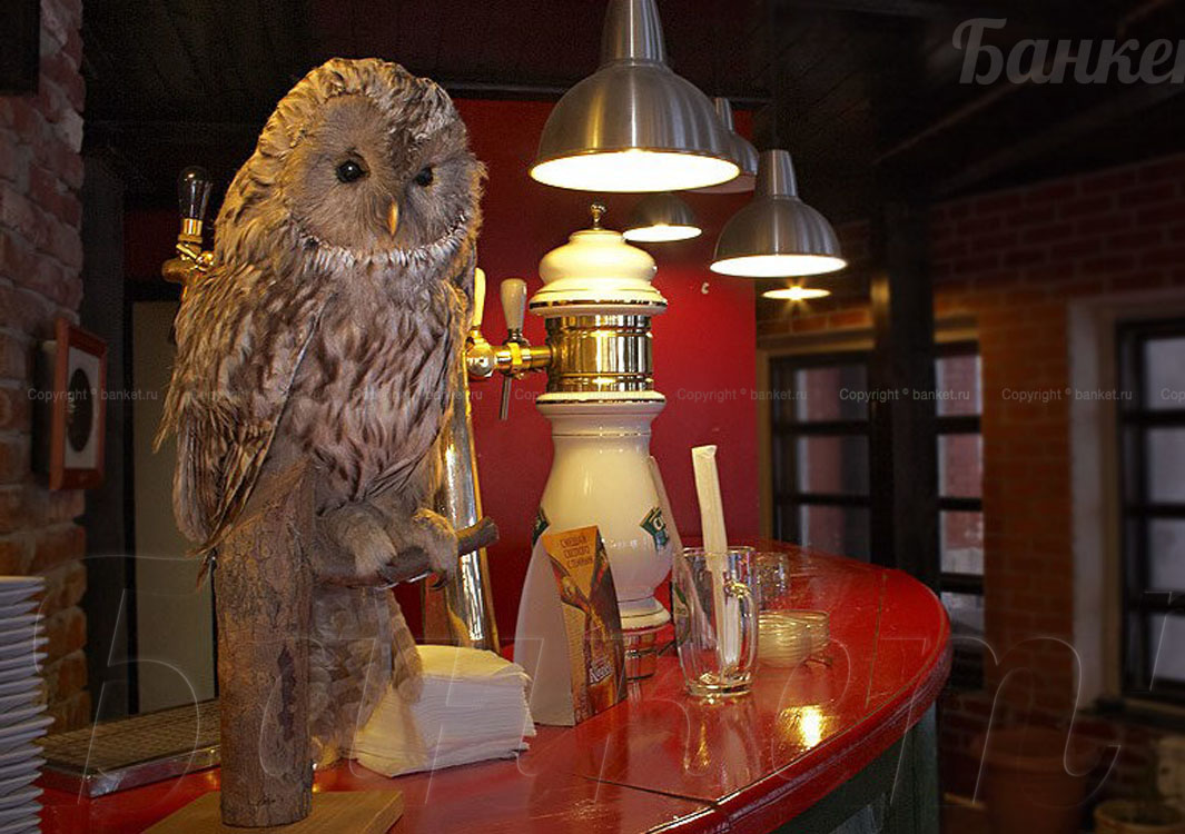 Основной зал — City Cafe