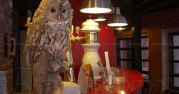 Основной зал — фото 5