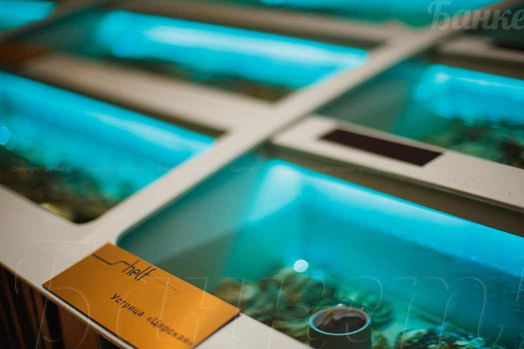 Основной зал — фото 7