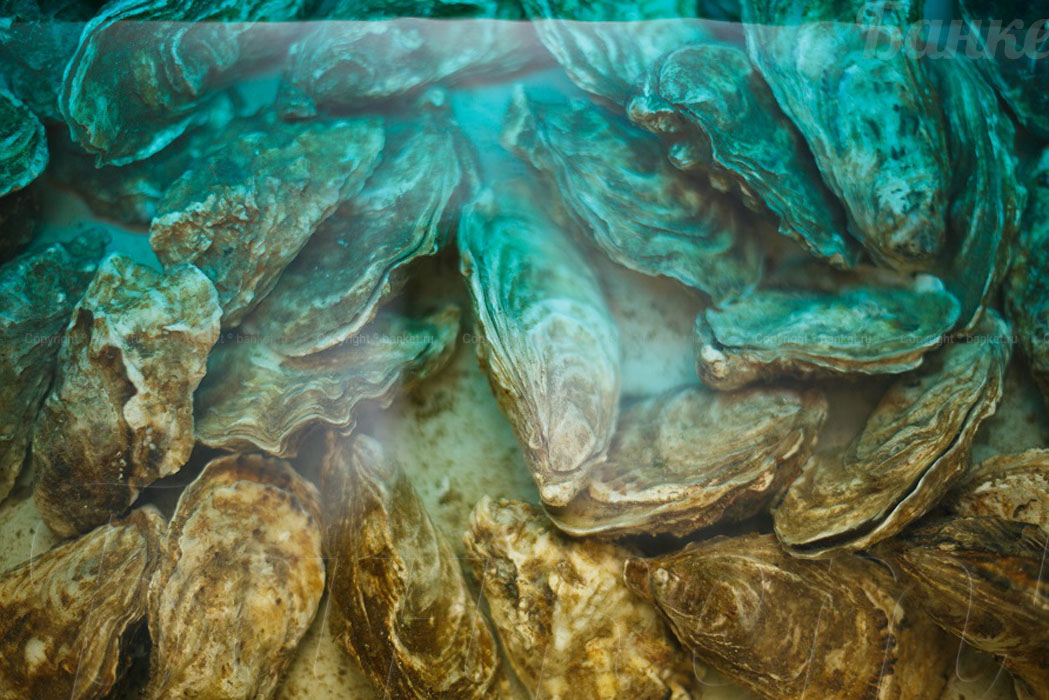 Основной зал — фото 9