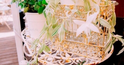 Летняя веранда — подробнее о зале