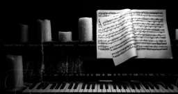 Основной зал — фото 6