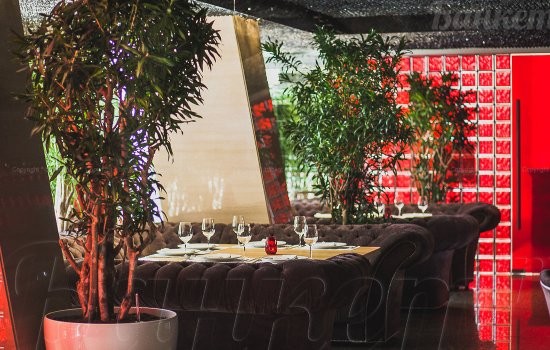 Основной зал — фото 10