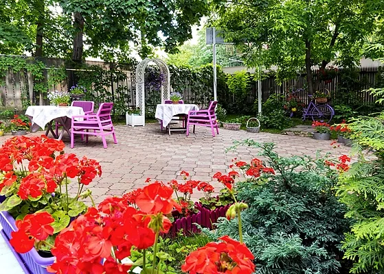 Оранжерея — Дом 8А, Москва