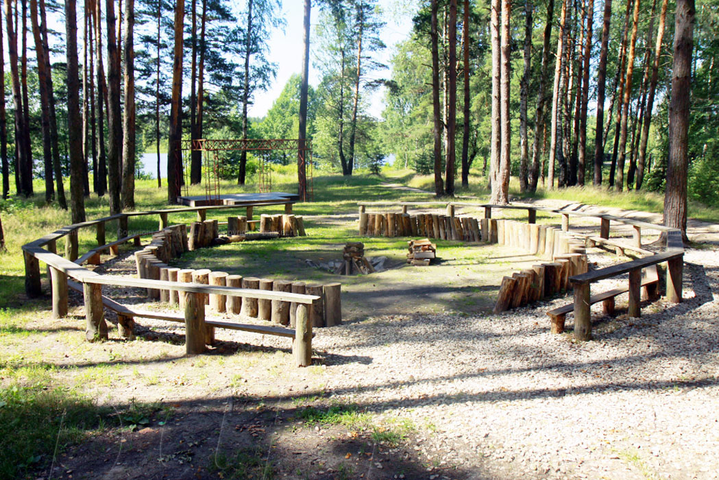 Лесная опушка Лесная опушка — фото 2