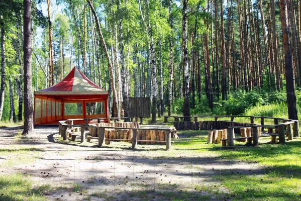Лесная опушка