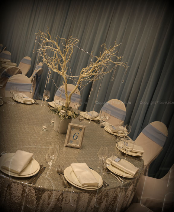 Банкетный зал Райкин Plaza — фото 27