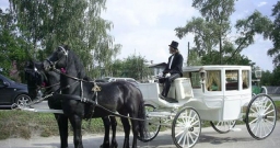 Зал 1 — фото 4