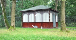 Летние беседки — фото 5