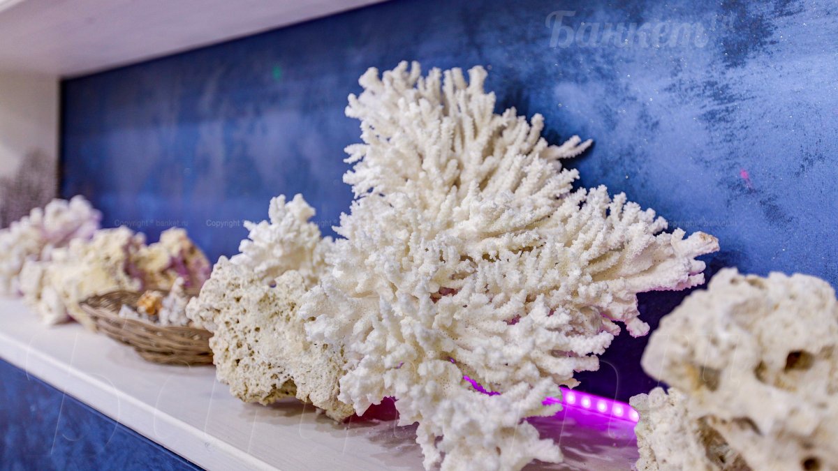 Основной зал Основной зал — фото 52