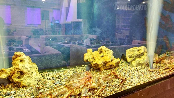 Основной зал — Gold Shark, Химки