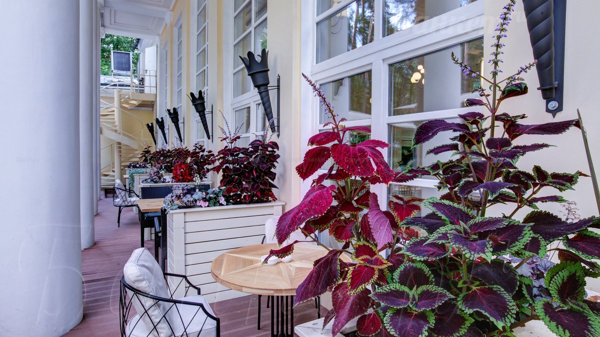 Большой банкетный зал — фото 49