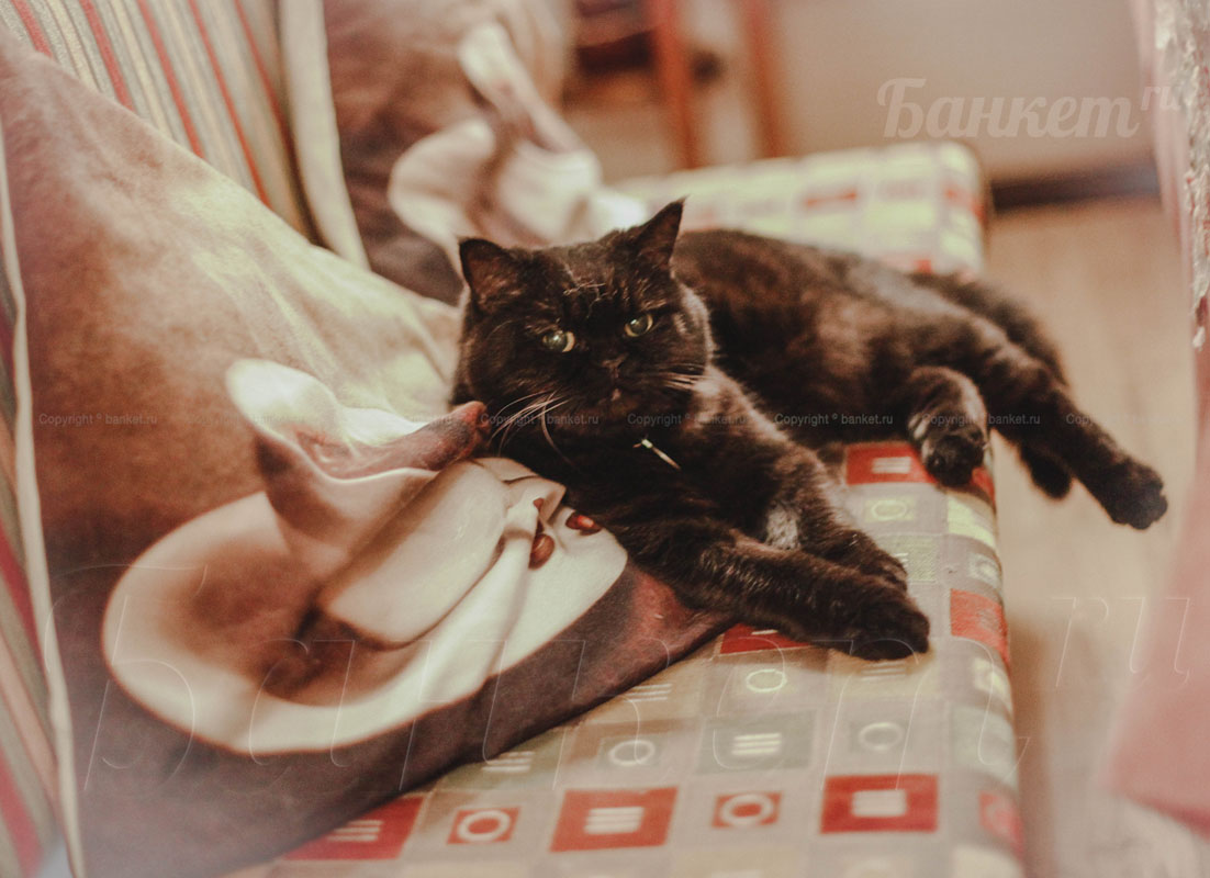 Веранда — фото 7