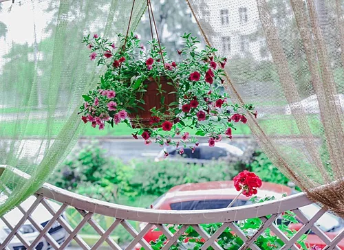 Веранда — Под Плеdом