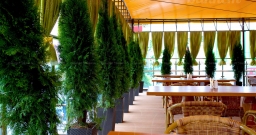 Веранда — интерьер зала