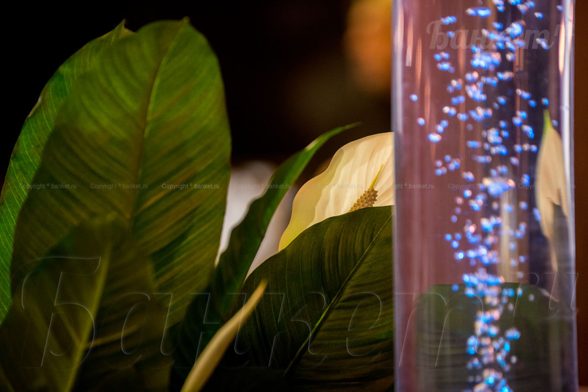 Основной зал — фото 22