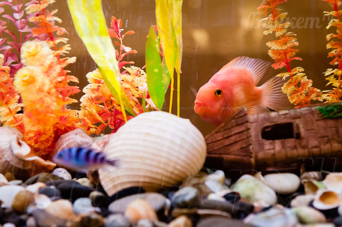 Малый зал (welcome-зона) Малый зал (welcome-зона) — фото 5