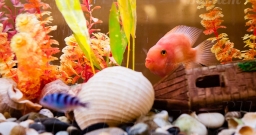 Малый зал (welcome-зона) Малый зал (welcome-зона) — фото 5