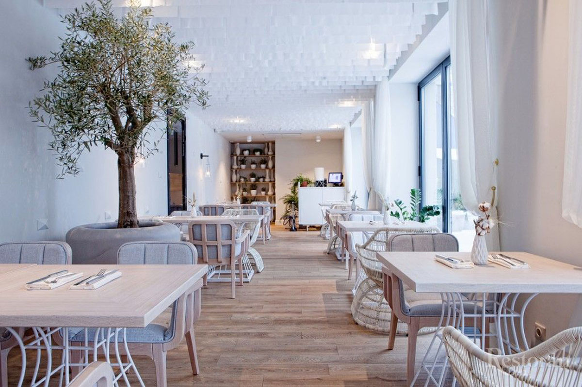 Зимний сад — фото 4