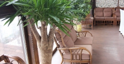 Зимний сад — фото 5