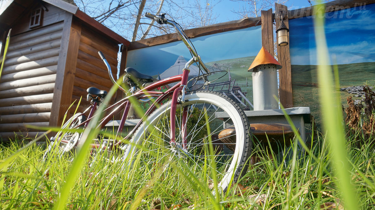 Основной зал Основной зал — фото 47