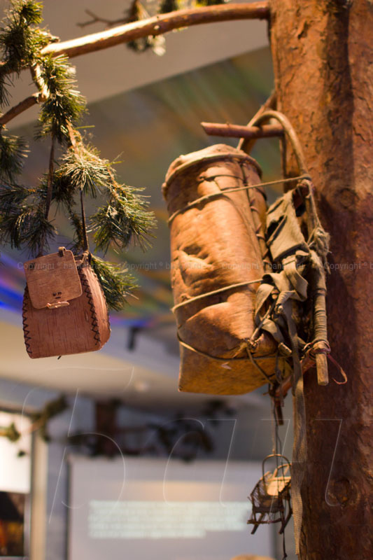 Основной зал Основной зал — фото 48