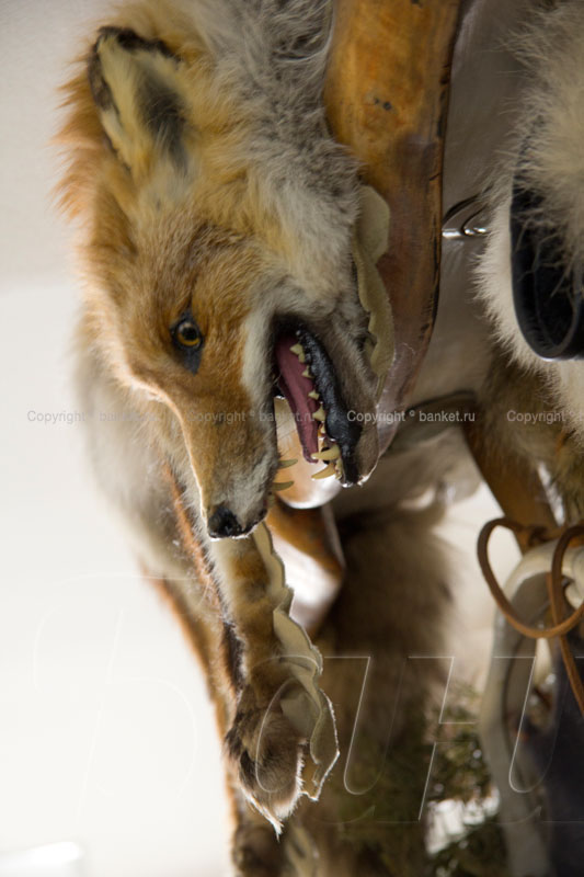 Основной зал Основной зал — фото 53