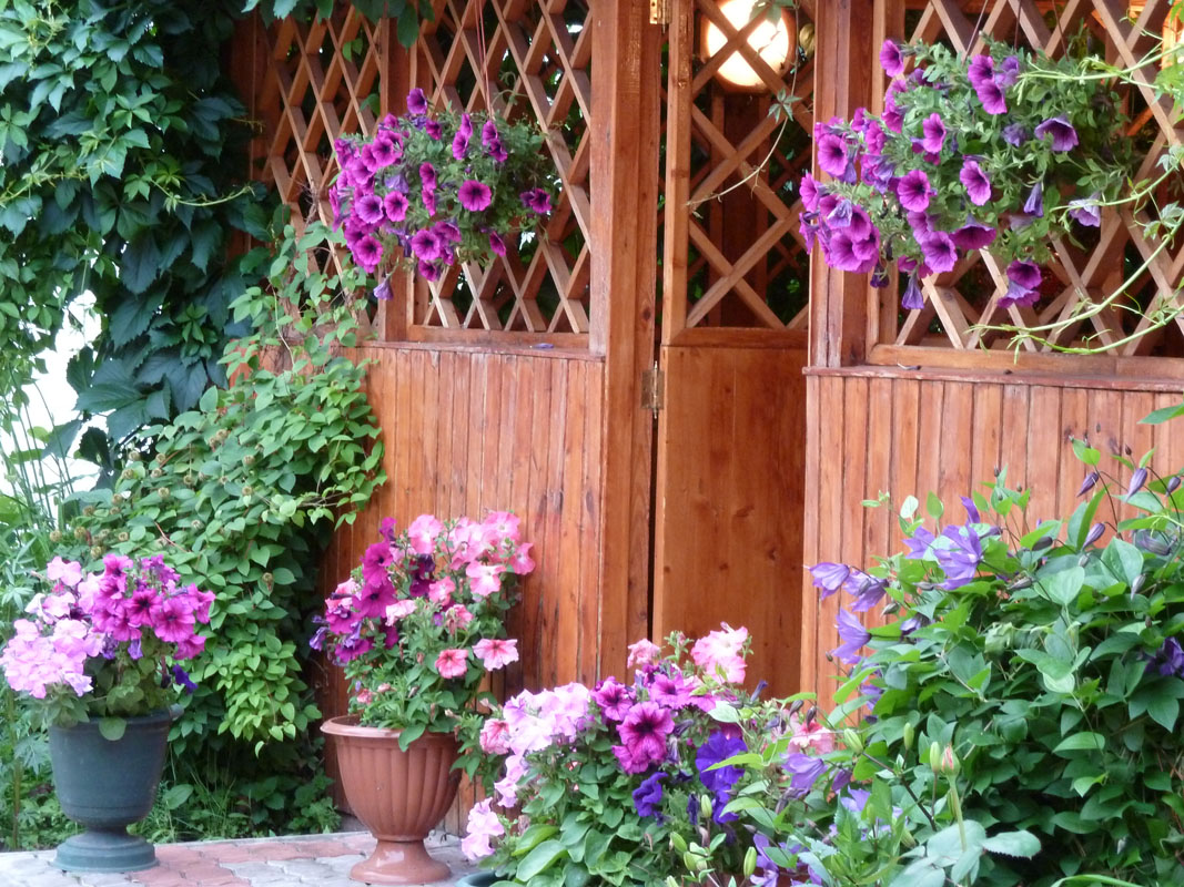 Основной зал — фото 3