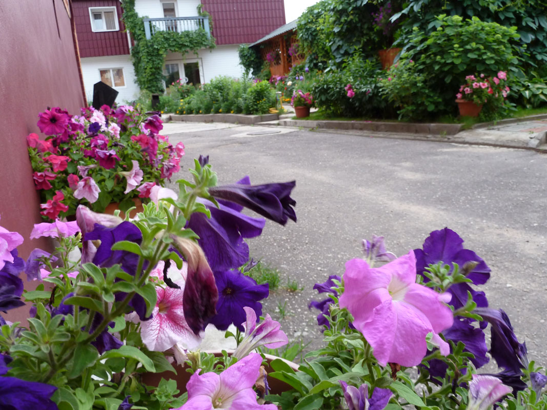 Основной зал — фото 4