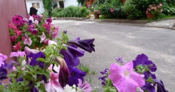 Основной зал — фото 4