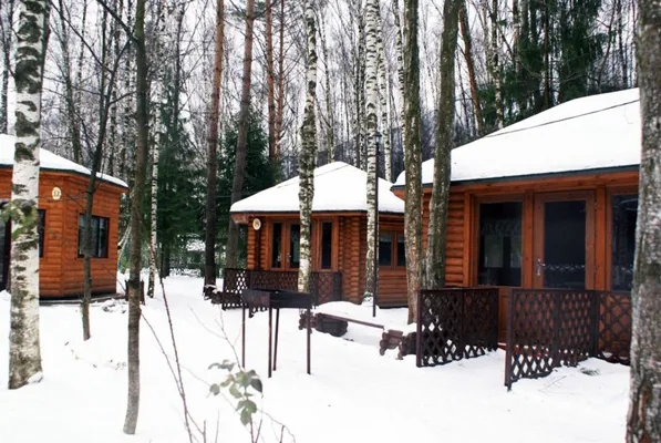 Зимний домик