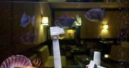 Основной зал — фото 6