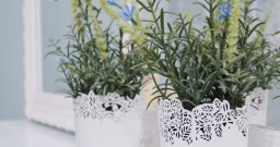 Зал Бар — интерьер зала