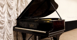 Конференц зал — интерьер зала