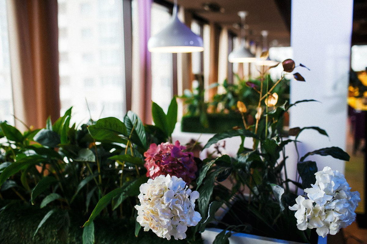 Кафе IlTokio — Основной зал, фото банкетного зала