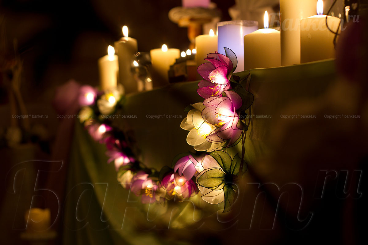 Зефир — фото 14