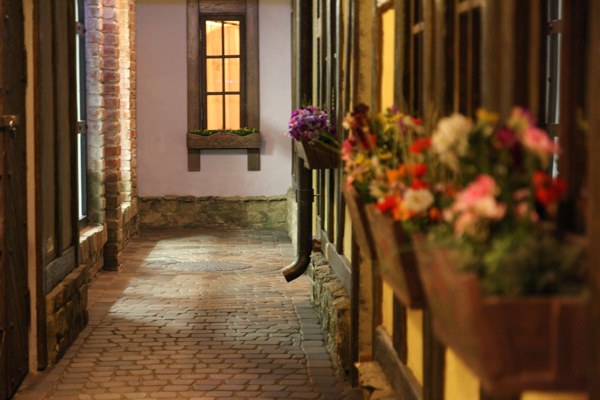 Логотип Арт-шоу ресторан Balagan City