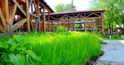 Веранда — фото 4