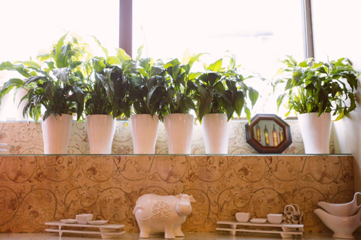 Основной зал — Ресторан Бефstroганов-Гриль