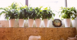 Основной зал — интерьер зала