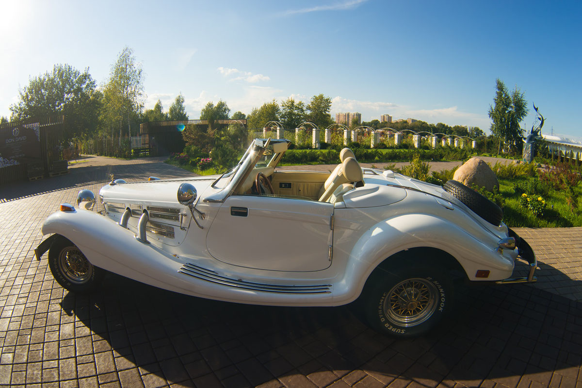 Поляна на берегу водохранилища для регистрации брака Поляна на берегу водохранилища для регистрации брака — фото 2