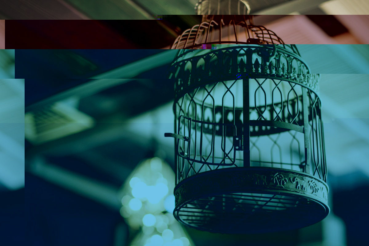 Основной зал — фото 5