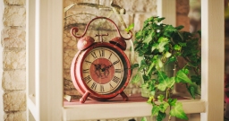 Основной зал — фото 6