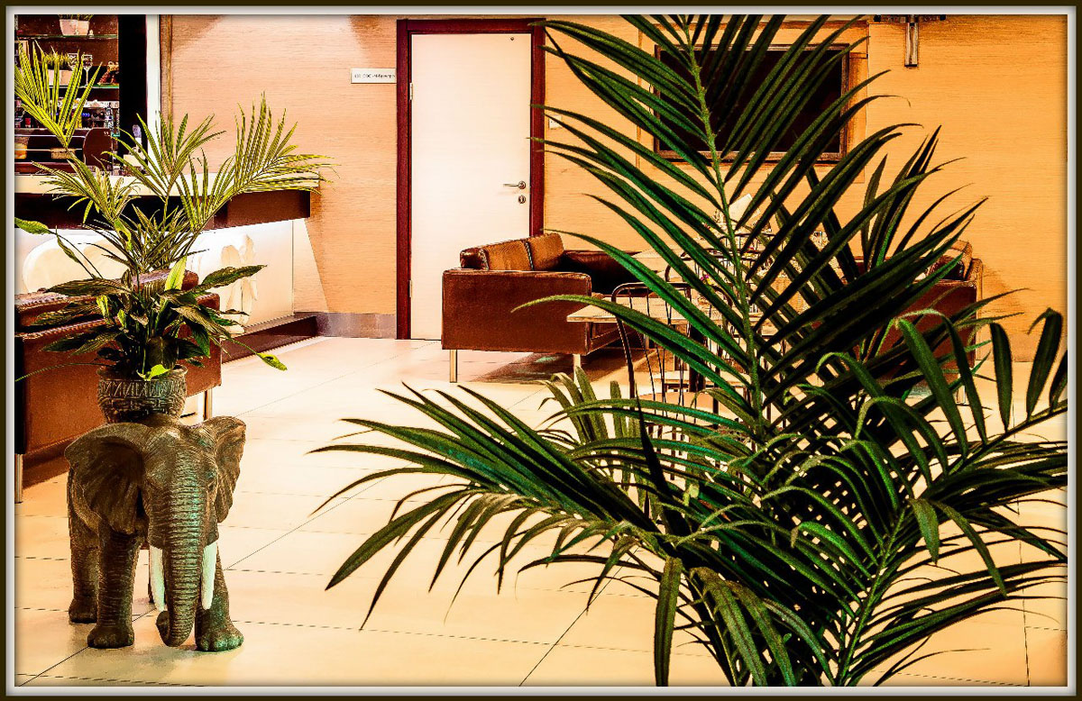 Зал — Лобби бар Сенатор