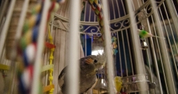 Основной зал — фото 5