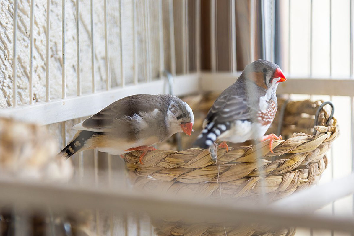 Palermo — фото 6