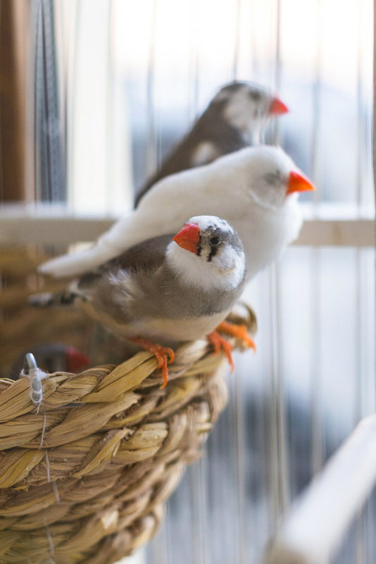 Palermo — фото 30