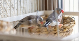 Palermo — фото 6